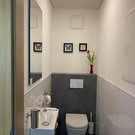Apartment Haus Albuin Sankt Gallenkirch