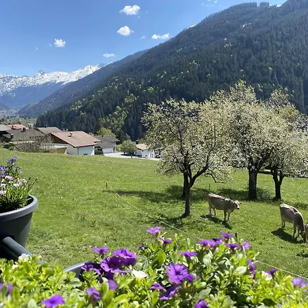 Haus Albuin Apartment