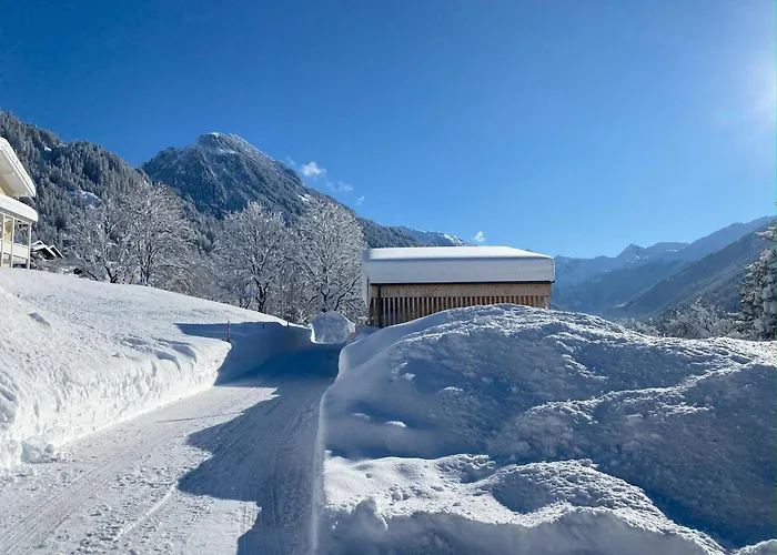 Haus Albuin * Sankt Gallenkirch